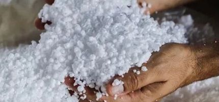 Mãos segurando grande quantidade de pequenos flocos brancos de isopor triturado.